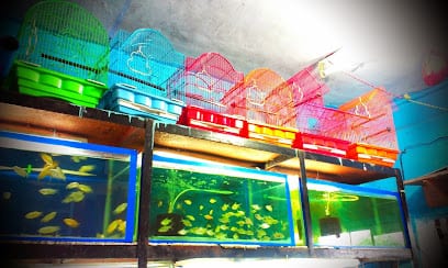 Kavya Aquarium & Pet Shop