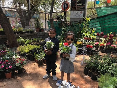 NPLANTS NURSERY & LANDSCAPE SERVICES